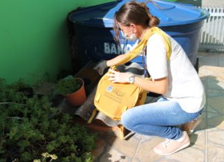 Casos de dengue aumentam e acendem alerta para reforço na prevenção