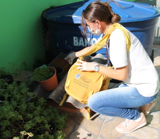 Casos de dengue aumentam e acendem alerta para reforço na prevenção