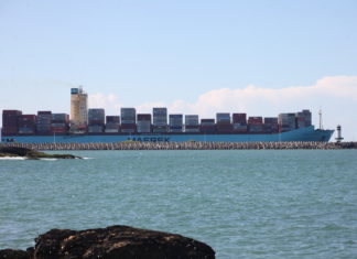 Complexo Portuário de Itajaí registra 13% de aumento na movimentação de cargas em toneladas