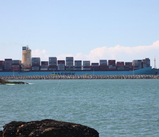 Complexo Portuário de Itajaí registra 13% de aumento na movimentação de cargas em toneladas