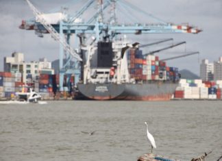 Porto de Itajaí elabora projeto para manutenção da autoridade portuária pública e municipal