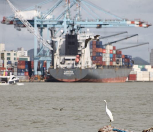 Porto de Itajaí elabora projeto para manutenção da autoridade portuária pública e municipal