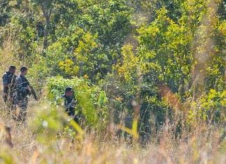 Busca por Lázaro Barbosa, serial killer do DF, chega ao oitavo dia com centenas de policiais.