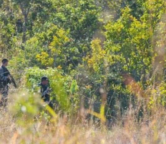 Busca por Lázaro Barbosa, serial killer do DF, chega ao oitavo dia com centenas de policiais.