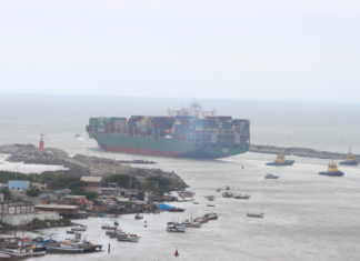 Complexo Portuário de Itajaí atinge marca histórica na movimentação de toneladas