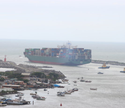 Complexo Portuário de Itajaí atinge marca histórica na movimentação de toneladas