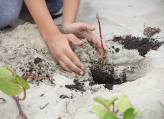 Semana do Meio Ambiente de Itajaí encerra com atividades educativas para a população