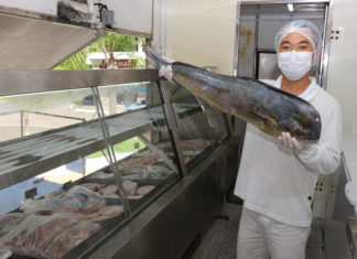 Confira a programação do Caminhão do Peixe para próxima semana