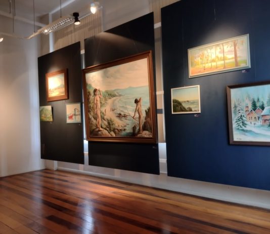 Exposição de Walter Smykalla abre para visitação no Museu Histórico de Itajaí