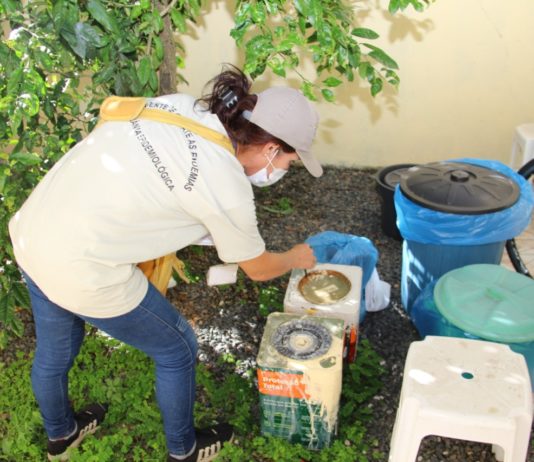 Município de Itajaí registra redução dos casos de dengue