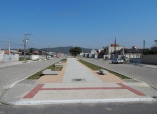 Canteiro central urbanizado dá nova cara à avenida Paulo Cantídio