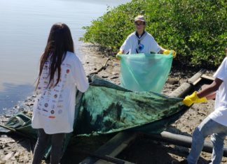 Mutirão Juntos Pelo Rio será retomado após dois anos de pandemia