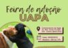 Unidade de Acolhimento Provisório de Animais (UAPA) promove neste sábado (05) feira de adoção de cães e gatos