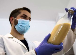 Empresa cria ovo 100% vegetal que substitui o tradicional