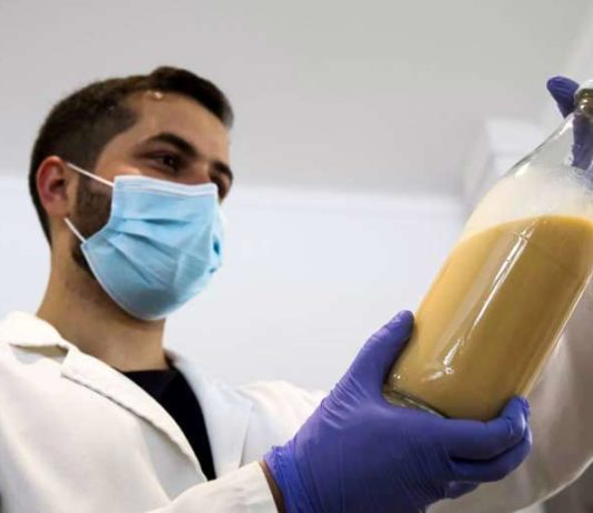 Empresa cria ovo 100% vegetal que substitui o tradicional