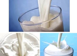 Leite sem vaca? Conheça o novo método de produção de leite