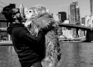 Acidente nos EUA mata jovem de SC e cachorro que viajavam de Fusca