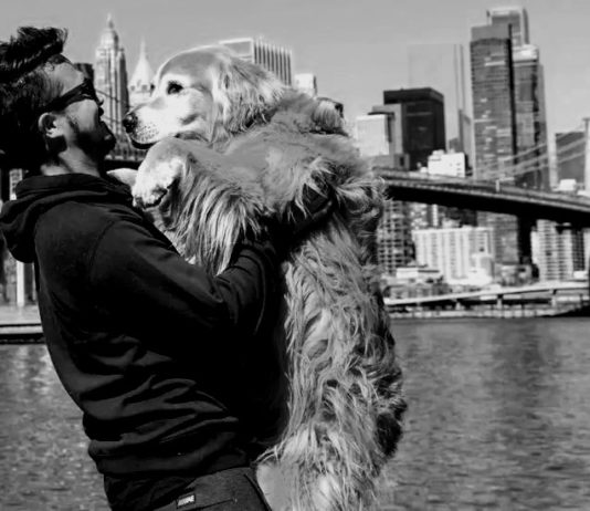 Acidente nos EUA mata jovem de SC e cachorro que viajavam de Fusca