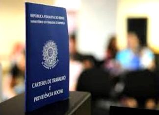 Santa Catarina atinge o maior nível de emprego já alcançado por um estado brasileiro