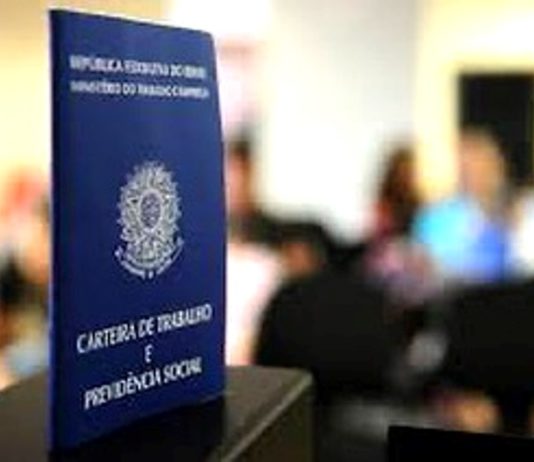 Santa Catarina atinge o maior nível de emprego já alcançado por um estado brasileiro