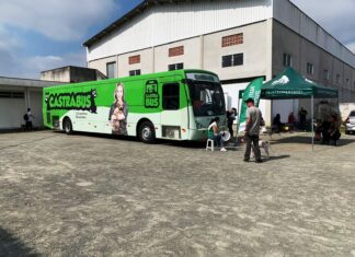 Mutirão de castração de animais ocorre na próxima semana no Cordeiros.