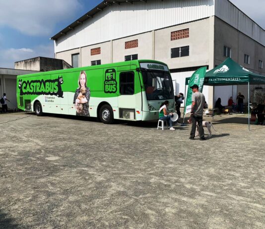 Mutirão de castração de animais ocorre na próxima semana no Cordeiros.