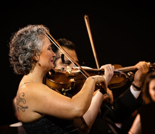 Camerata Florianópolis apresenta Tributo à MPB no Festival de Música de Itajaí