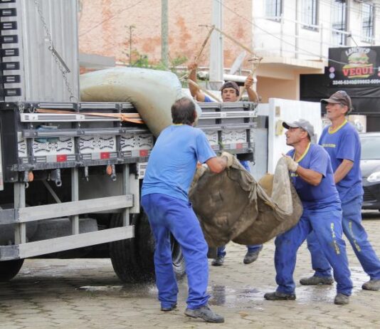 Itajaí realiza força-tarefa para recuperar ruas e auxiliar a comunidade
