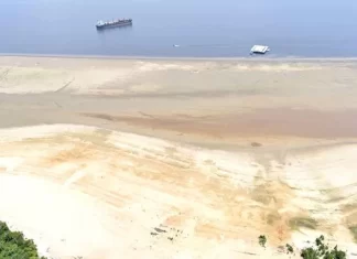 Seca no Amazonas: 95% dos municípios entram em situação de emergência.