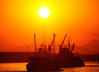 Itajaí é confirmada oficialmente como Capital Nacional da Pesca