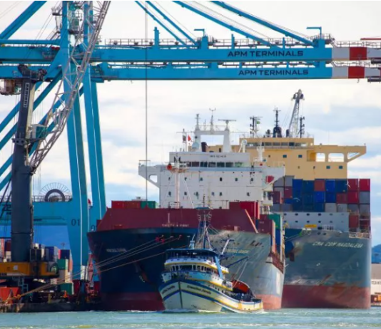 Leilão do Porto de Itajaí tem reviravolta e Antaq define vencedora