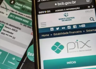 Pix foi o meio de pagamento mais popular do Brasil em 2023