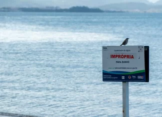 73,5% das praias de SC estão próprias para o banho, afirma último relatório semanal de balneabilidade da temporada
