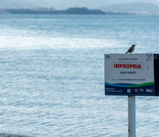 73,5% das praias de SC estão próprias para o banho, afirma último relatório semanal de balneabilidade da temporada