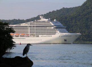 2024/2025: Próxima temporada de cruzeiros terá aumento de 35% no embarque de passageiros em Itajaí