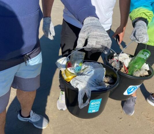 Itajaí promove Semana do Meio Ambiente 2024