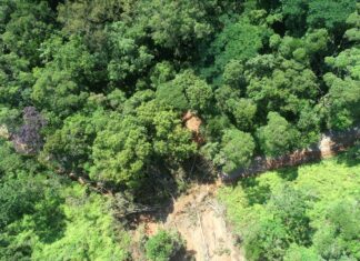 Parque do Atalaia continua fechado devido a deslizamentos de terra