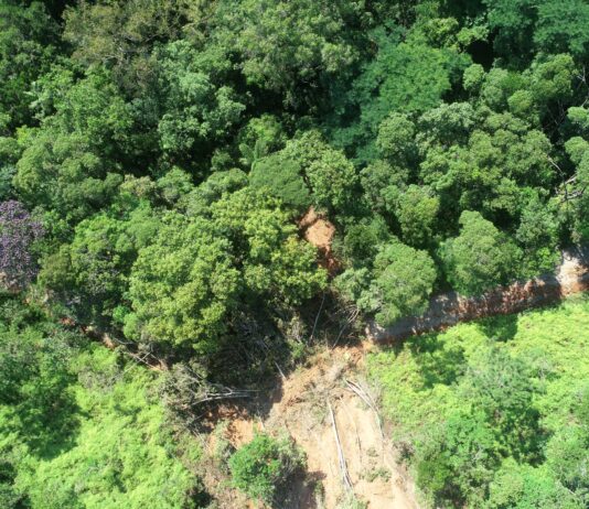 Parque do Atalaia continua fechado devido a deslizamentos de terra