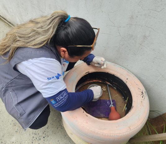 Programa de Controle da Dengue em Itajaí realiza Levantamento de Infestação por Aedes Aegypti