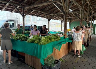 Sábado é dia de feira: ponto tradicional do bairro Fiuza Lima, em Itajaí, conecta o campo à cidade