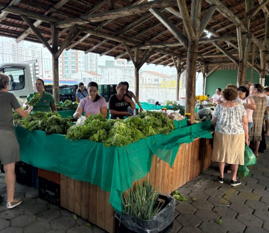 Sábado é dia de feira: ponto tradicional do bairro Fiuza Lima, em Itajaí, conecta o campo à cidade
