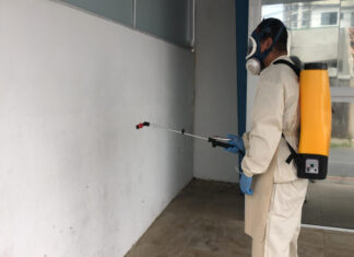 Itajaí implementa nova estratégia para reforçar o combate ao mosquito da dengue