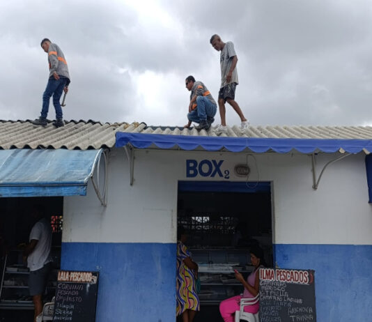 Melhorias nos Mercados do Peixe do São Vicente e Centro em Itajaí, visam beneficiar o consumidor
