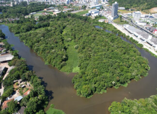 Plano de manejo pode criar Parque Natural Municipal Ilha das Capivaras, em Itajaí