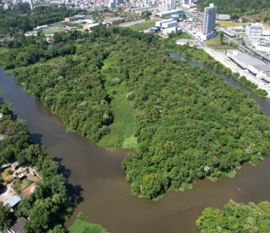 Plano de manejo pode criar Parque Natural Municipal Ilha das Capivaras, em Itajaí