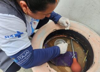 Infestação de Aedes aegypti em Itajaí atinge nível crítico e preocupa autoridades