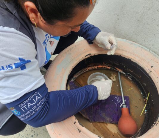 Infestação de Aedes aegypti em Itajaí atinge nível crítico e preocupa autoridades
