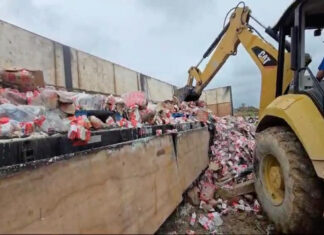 Vigilância Sanitária de Itajaí realiza o descarte da carga de leite vencido