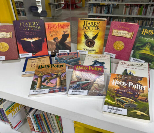 Biblioteca Pública de Itajaí realiza encontro imperdível para fãs de Harry Potter