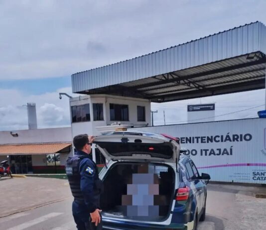 Homem condenado por estupro de vulnerável é preso em Itajaí em ação da GMI e PF